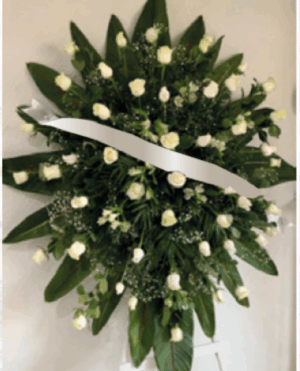 ESTRELLA DE LA MAÑANA